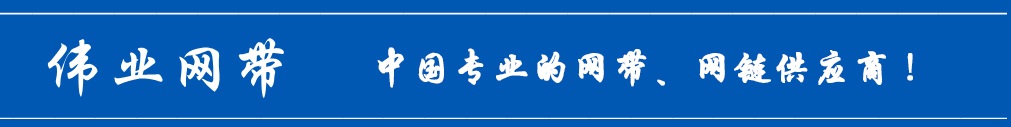 偉業(yè)網(wǎng)帶