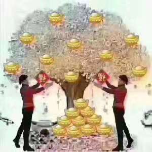偉業(yè)網(wǎng)帶的錢樹(shù).jpg