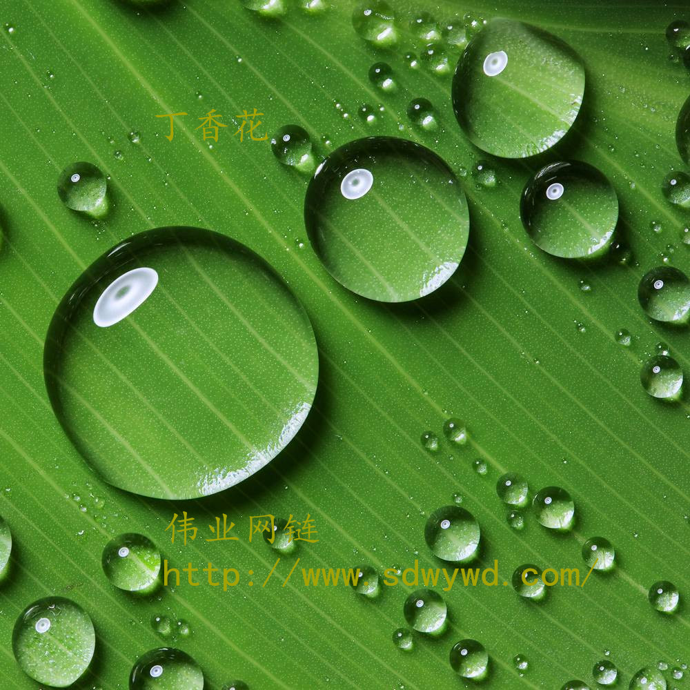 偉業(yè)網鏈.jpg